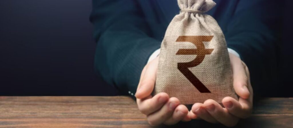Rupee bag